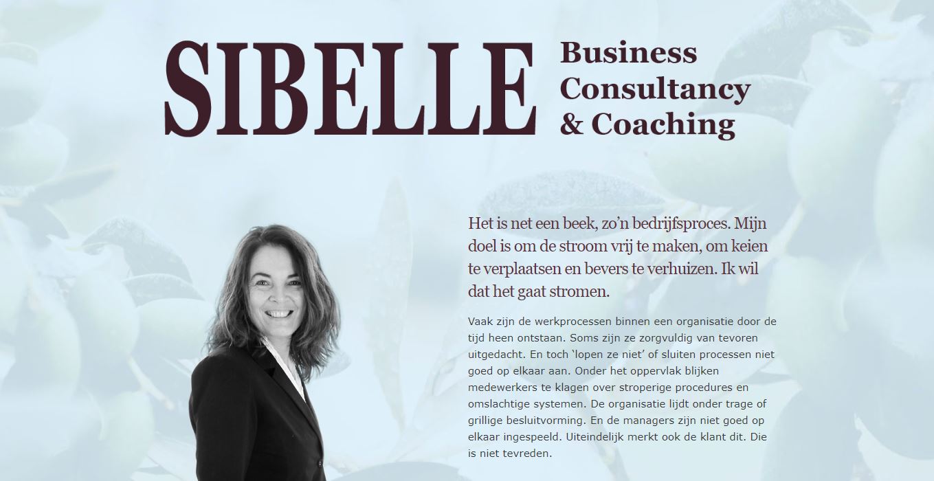 Colette Sibbel Sibelle Business Consultancy